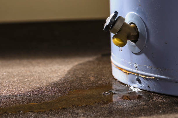 Best Flooded house restoration  in Middlesborough, KY