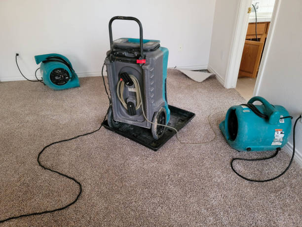 Best Fire Damage Restoration  in Middlesborough, KY