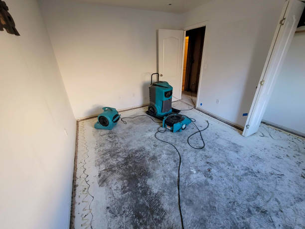 Best Water damage cleanup near me  in Middlesborough, KY
