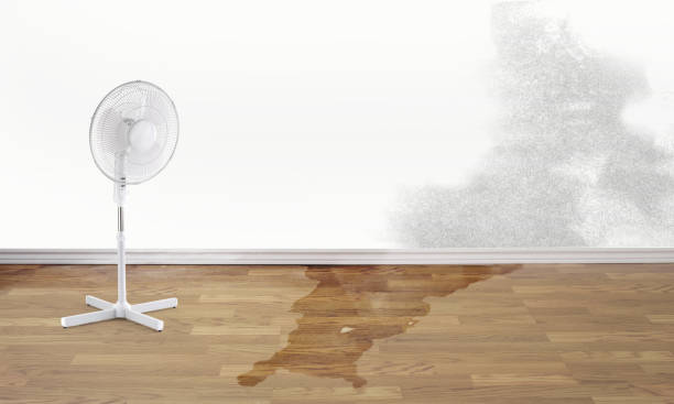 Trusted KY Water damage restoration Experts