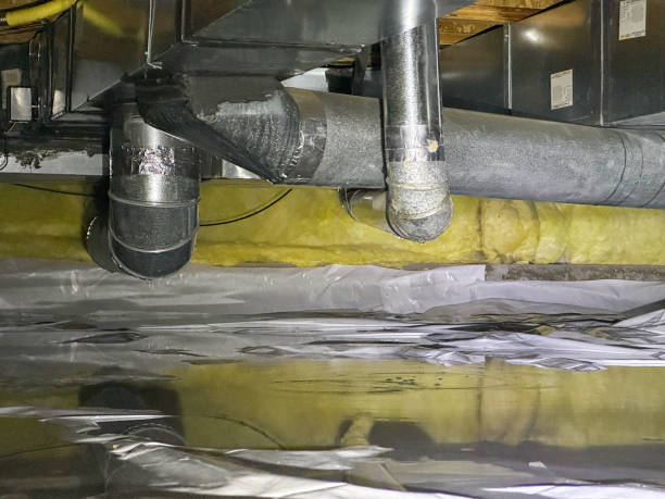 Best Flood damage cleanup  in Middlesborough, KY
